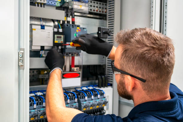 Best Electric Panel Repair  in Waterville, OH